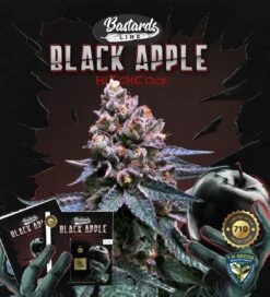 Black Apple Hitchcock - 5PACK - Feminised - T.H.Seeds