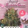 Bubblegum - 5PACK - Feminised - T.H.Seeds -Uitgelichte Plantenzaadwinkel t.h.seeds bubblegum 710 special advert5