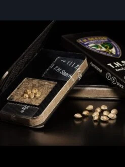 Citron Givré (Birthday Cake Selected) - 5PACK - Feminised - T.H.Seeds