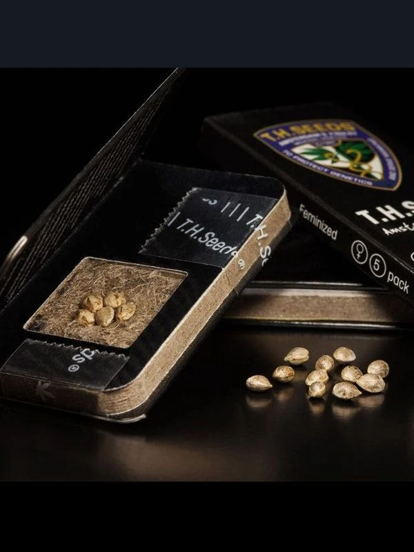 Citron Givré (Birthday Cake Selected) - 5PACK - Feminised - T.H.Seeds 3 Citron Givré (Birthday Cake Selected) - 5PACK - Feminised - T.H.Seeds