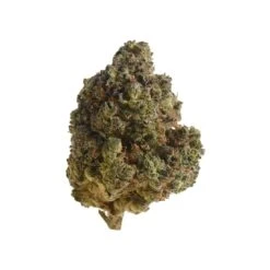 Chunky Cookies - 5-pack - Feminised - Amsterdam Genetics -Uitgelichte Plantenzaadwinkel web chunky cookies cannabis top amsterdam genetics