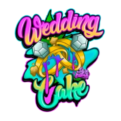 Wedding Cake - 5-pack - Pure Instinto Seeds